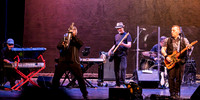BStreet Springsteen Tribute Band